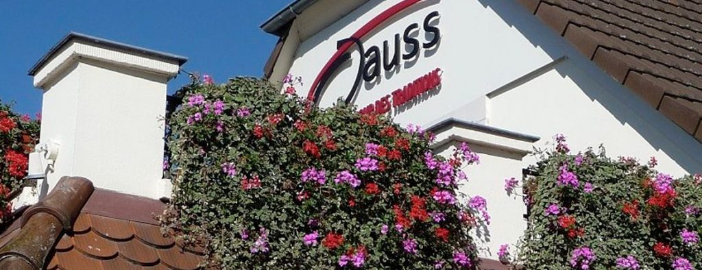 Jauss
